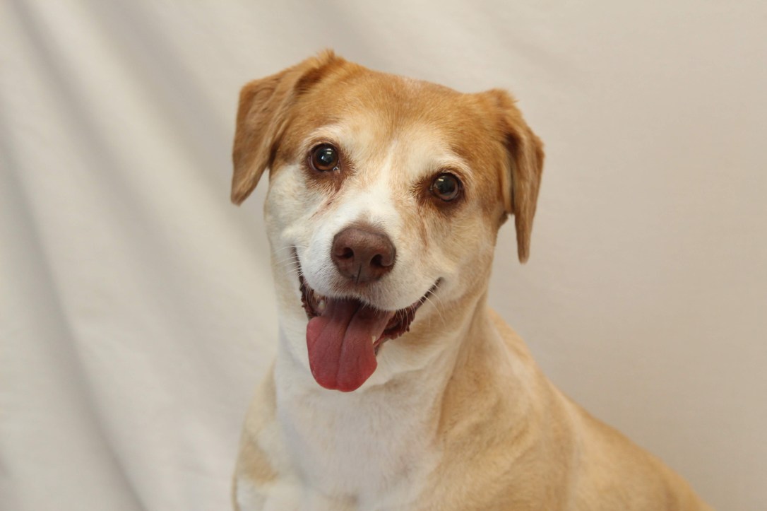 hilliard-employe-pet_wahya_leah-grubb_aug2019-82