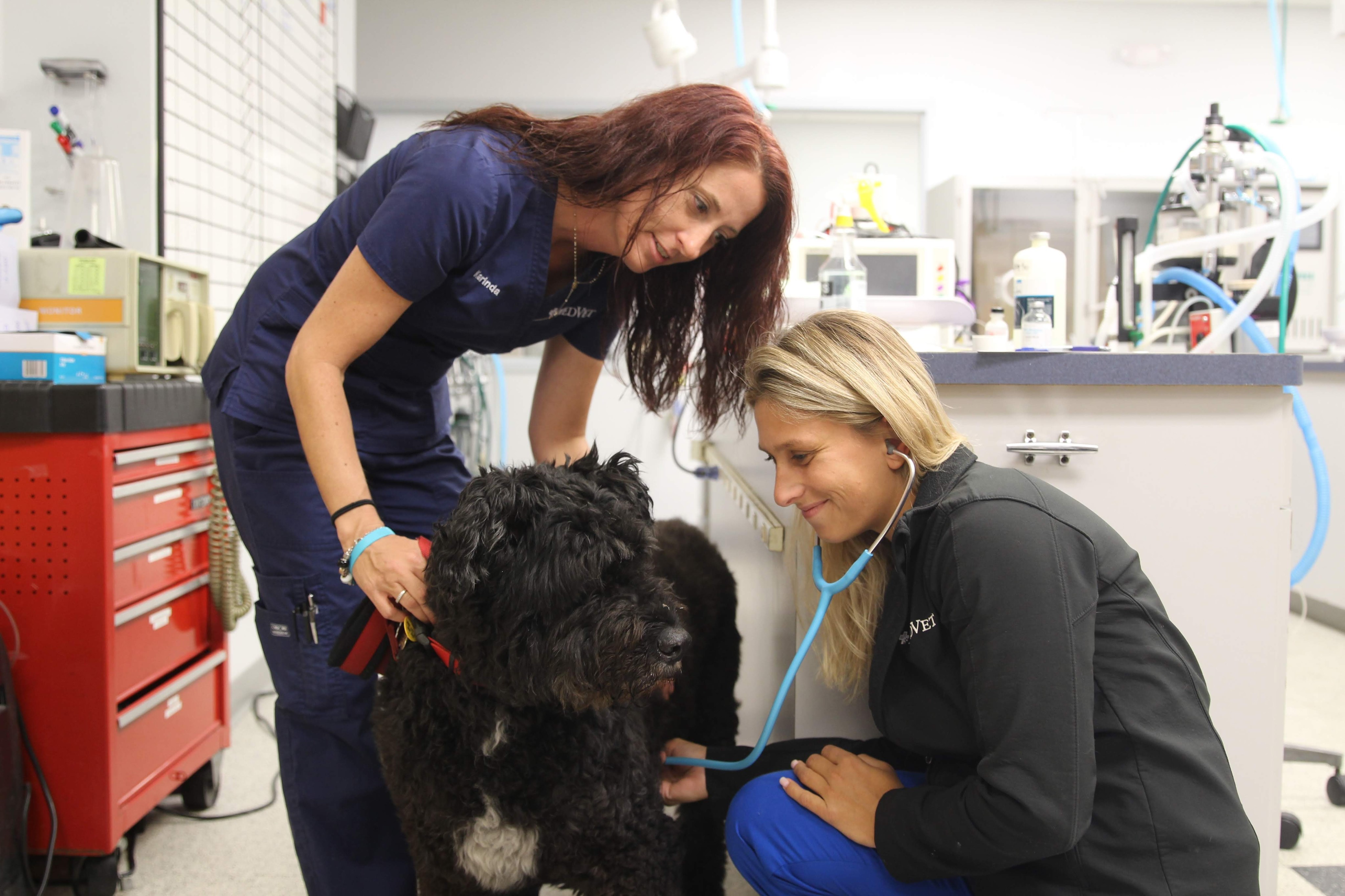 hilliard_emergency_aug2019-5