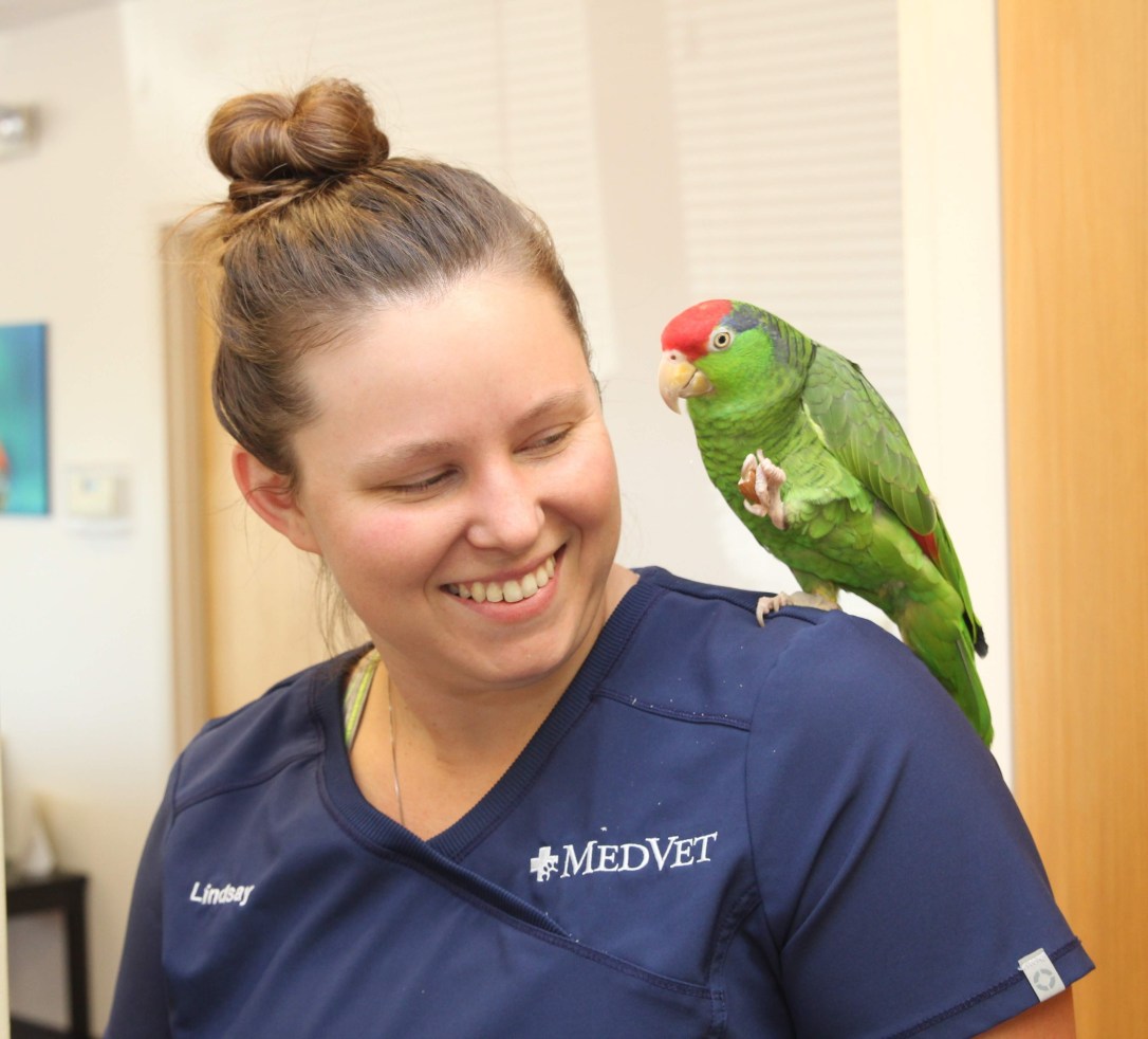 hilliard_lindsey-csr-with-flynn-the-bird-20