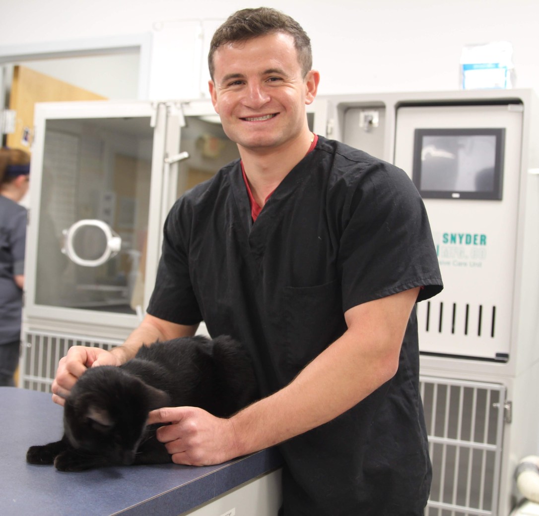 hilliard_stevie_cat_adam-feinzig-6