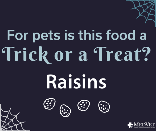 Trick or Treat Raisins