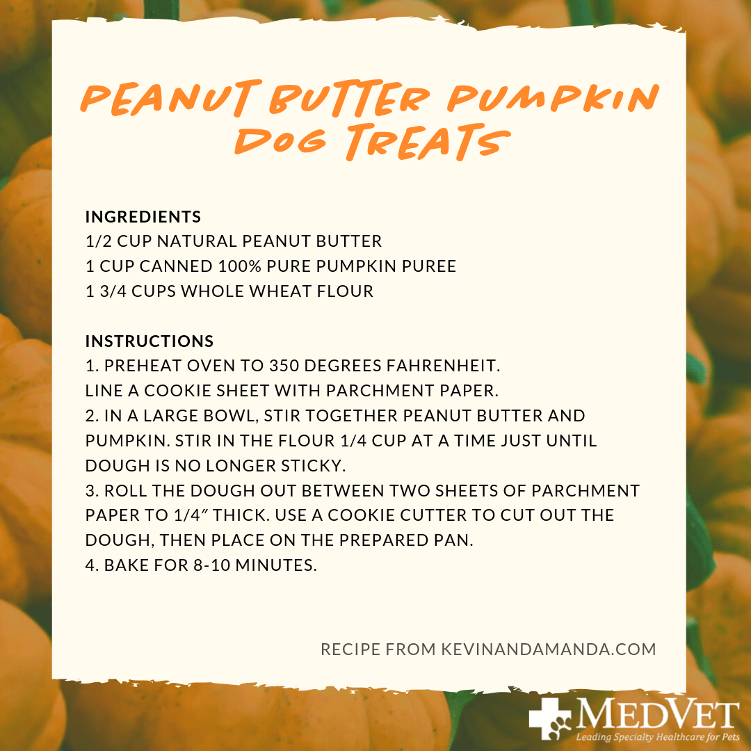 peanut butter pumpkin dog treats