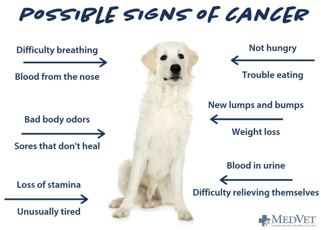 Possible signs of cancer