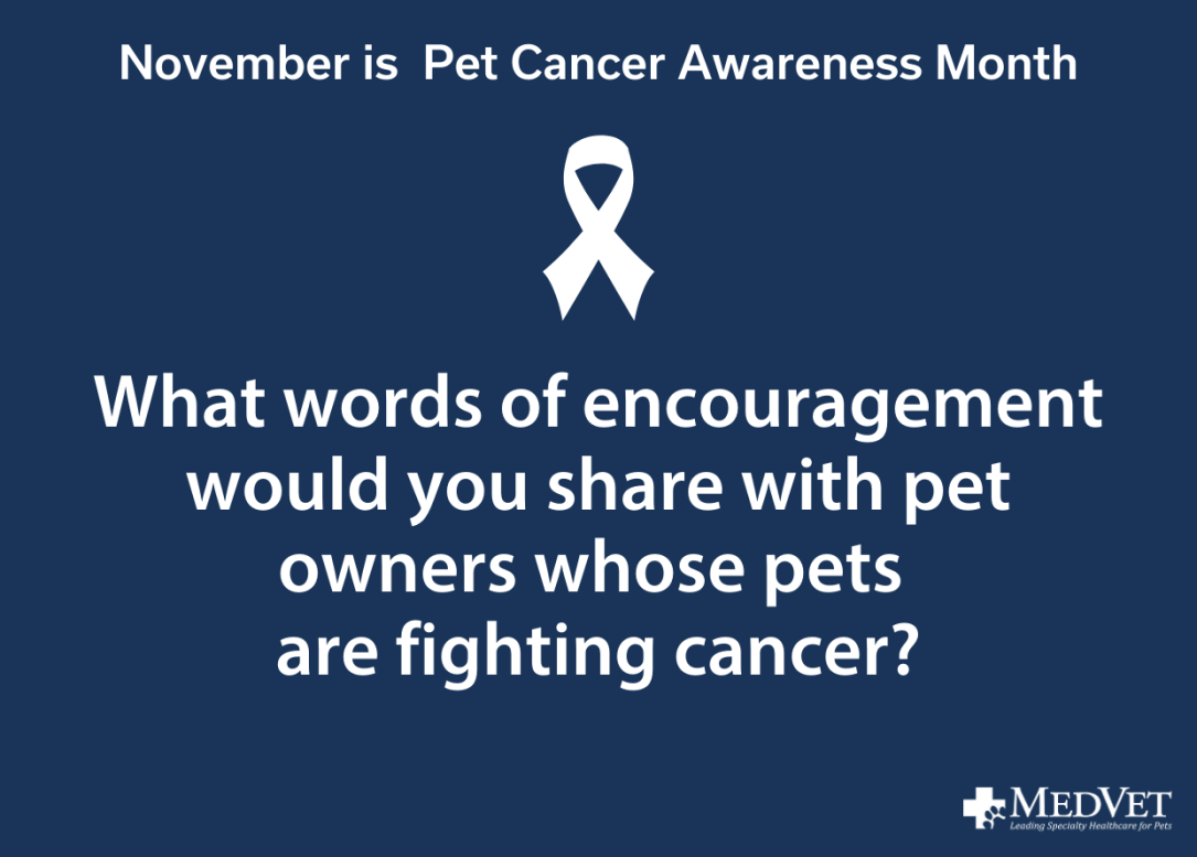 words of encouragement